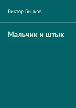 Виктор Бычков Мальчик и штык обложка книги