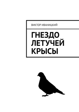 Виктор Иваницкий Гнездо летучей крысы обложка книги