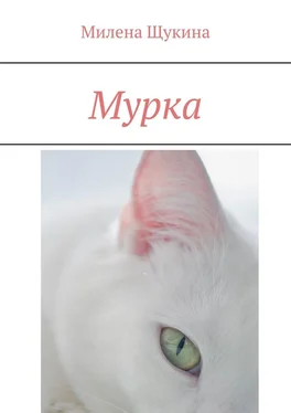 Милена Щукина Мурка обложка книги