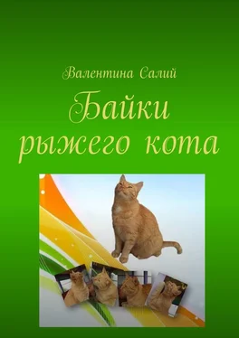 Валентина Салий Байки рыжего кота. Стихи обложка книги