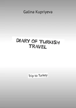 Galina Kupriyeva Diary of Turkish travel. Trip to Turkey обложка книги