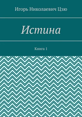 Игорь Цзю Истина. Книга 1 обложка книги