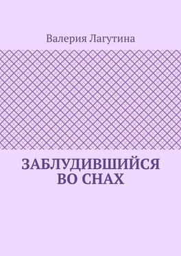 Валерия Лагутина Заблудившийся во снах обложка книги