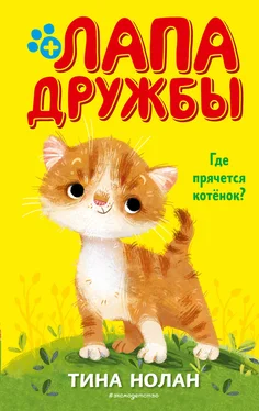 Тина Нолан Где прячется котёнок? обложка книги