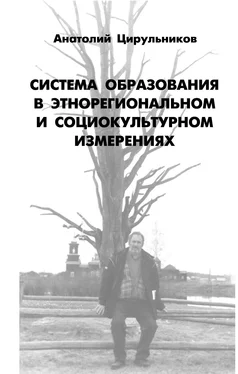 Анатолий Цирульников Система образования в этнорегиональном и социокультурном измерении обложка книги