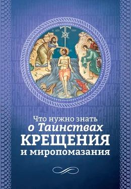 Андрей Плюснин Что нужно знать о Таинствах Крещения и Миропомазания обложка книги