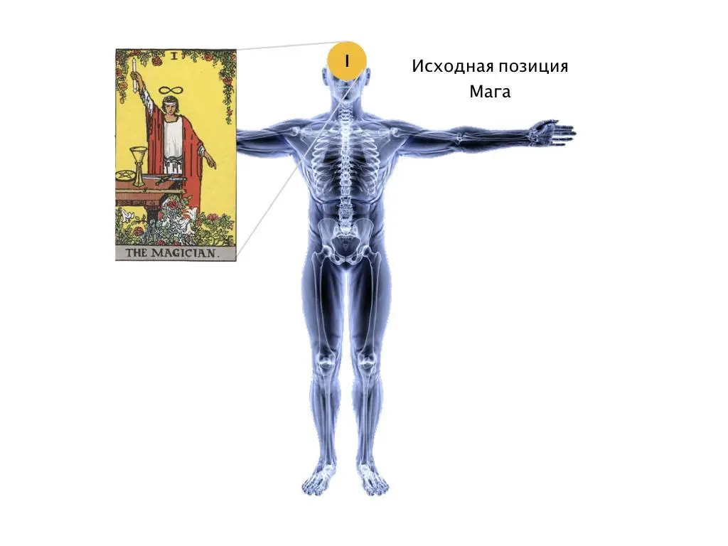 Рис2 Исходная позиция Мага на теле человека Основная мозговая структура - фото 2