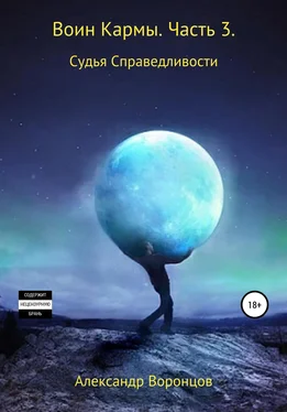 Александр Воронцов Воин Кармы. Часть 3. Судья Справедливости обложка книги