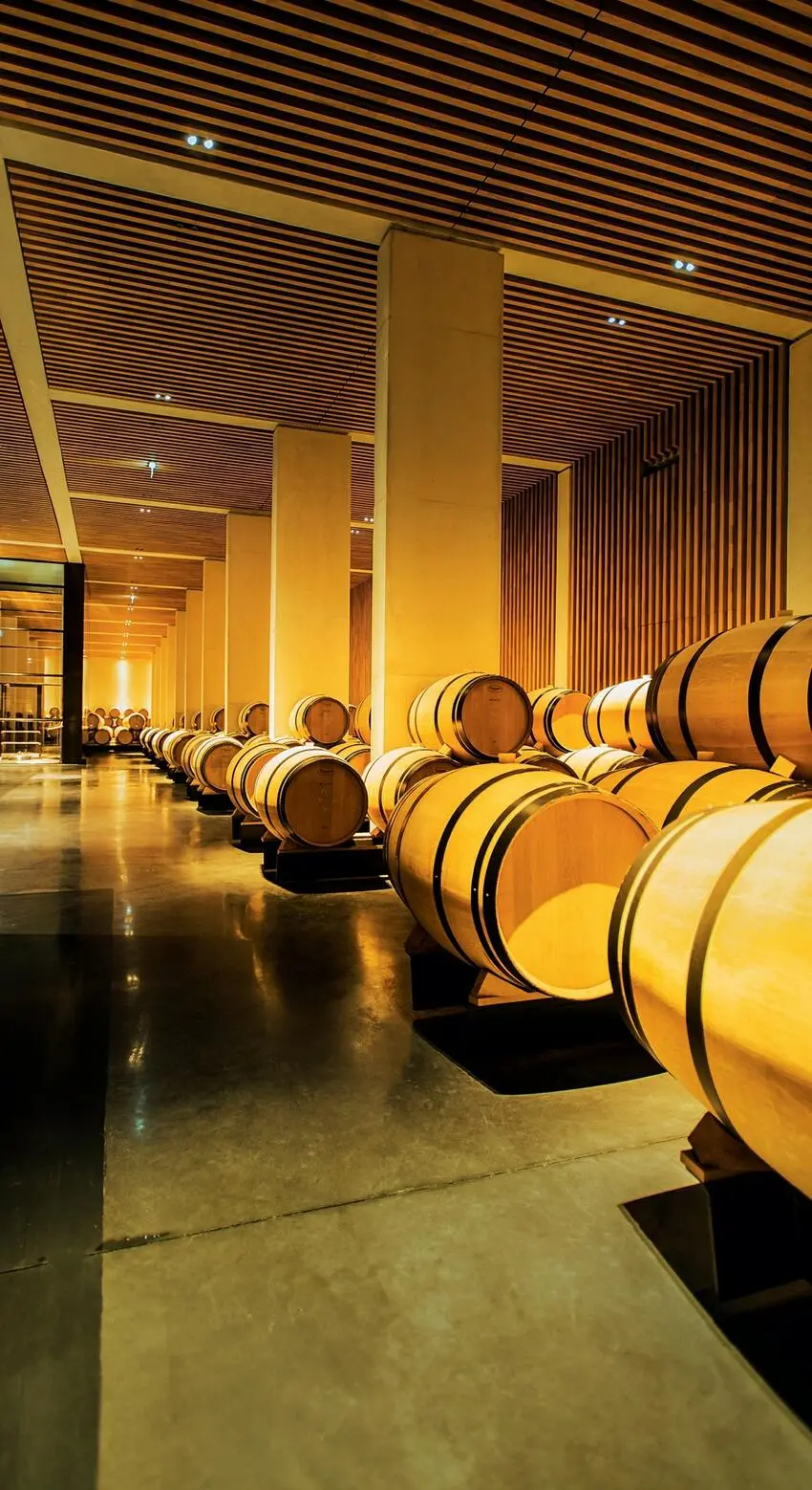 Barrels at Pédesclaux 44 HistoryProfit calculations existence is therefore - фото 52