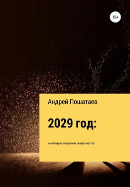 Андрей Пошатаев 2029 год: на четверть первого на северо-восток обложка книги