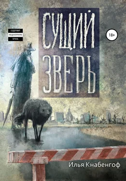 Илья Кнабенгоф Сущий зверь обложка книги