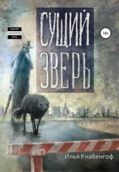 Илья Кнабенгоф - Сущий зверь