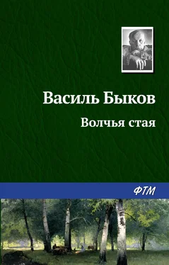 Василий Быков Волчья стая обложка книги