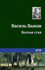 Василий Быков - Волчья стая