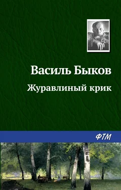 Василий Быков Журавлиный крик обложка книги