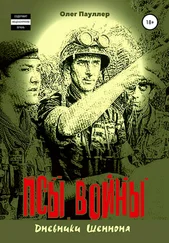 Олег Пауллер - Псы войны - дневники Шеннона