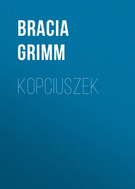 Jacob i Wilhelm Grimm Kopciuszek обложка книги