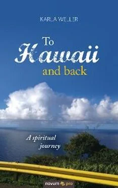 Karla Weller To Hawaii and back обложка книги