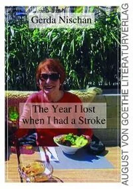 Gerda Nischan The Year I lost when I had a Stroke обложка книги