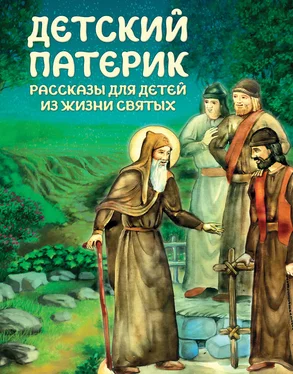 С. Пушкова Детский патерик обложка книги