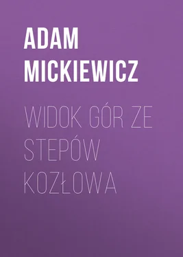 Adam Mickiewicz Widok gór ze stepów Kozłowa обложка книги