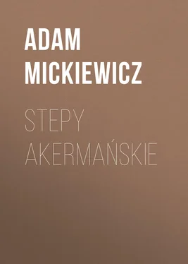Adam Mickiewicz Stepy akermańskie обложка книги
