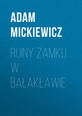 Adam Mickiewicz Ruiny zamku w Bałakławie обложка книги