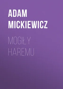 Adam Mickiewicz Mogiły haremu обложка книги