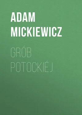 Adam Mickiewicz Grób Potockiéj обложка книги