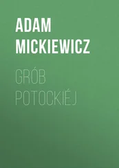 Adam Mickiewicz - Grób Potockiéj