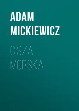 Adam Mickiewicz Cisza morska обложка книги