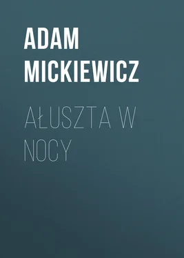 Adam Mickiewicz Ałuszta w nocy обложка книги