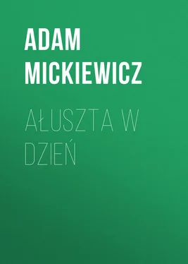 Adam Mickiewicz Ałuszta w dzień обложка книги