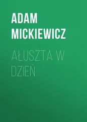 Adam Mickiewicz - Ałuszta w dzień