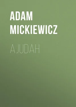 Adam Mickiewicz Ajudah обложка книги