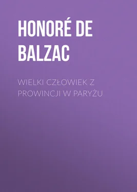 Honoré de Balzac Wielki człowiek z prowincji w Paryżu обложка книги