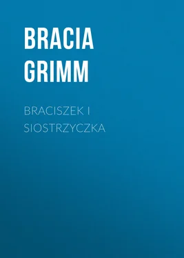 Jacob i Wilhelm Grimm Braciszek i siostrzyczka обложка книги