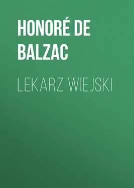 Honoré de Balzac Lekarz wiejski обложка книги