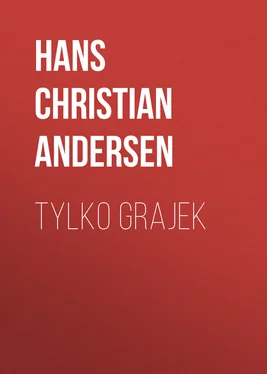 Hans Andersen Tylko grajek обложка книги