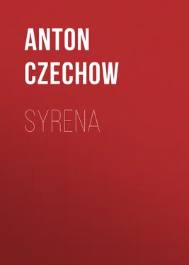 Anton Czechow Syrena обложка книги