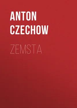 Anton Czechow Zemsta обложка книги