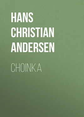 Hans Andersen Choinka обложка книги