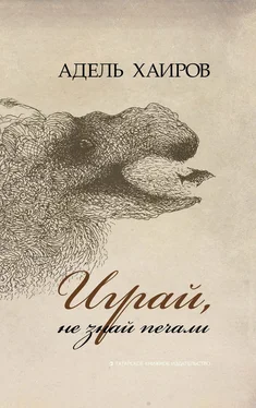 Адель Хаиров Играй, не знай печали обложка книги