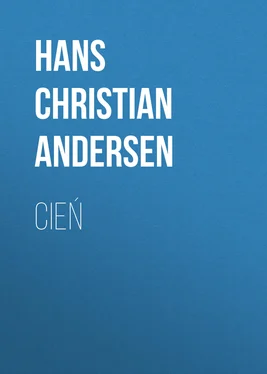 Hans Andersen Cień обложка книги