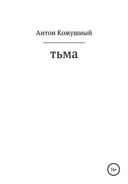 Антон Кожушный Тьма обложка книги