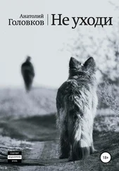 Анатолий Головков - Не уходи