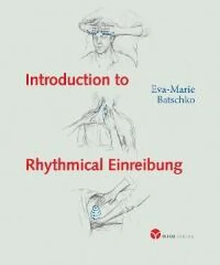 Eva-Marie Batschko Introduction to Rhythmical Einreibung обложка книги