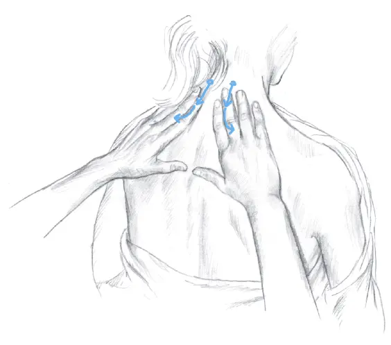 Ill 18 Standing behind the patient the fingertips of both my hands dip - фото 20