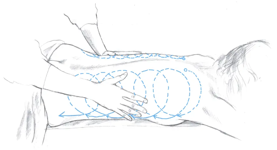 Ill 10 In their dynamics the circling movements reach their climax at the - фото 12