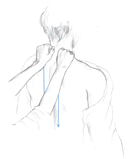 Ill 1 Then I dip both hands fingers pointing towards the head lightly into - фото 2